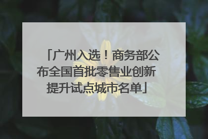 广州入选！商务部公布全国首批零售业创新提升试点城市名单