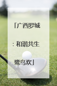 广西罗城：和谐共生鹭鸟欢