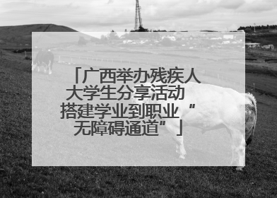 广西举办残疾人大学生分享活动 搭建学业到职业“无障碍通道”