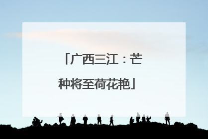 广西三江：芒种将至荷花艳
