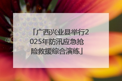 广西兴业县举行2025年防汛应急抢险救援综合演练