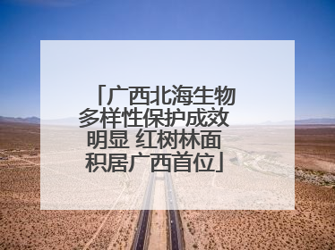 广西北海生物多样性保护成效明显 红树林面积居广西首位