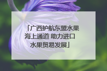 广西护航东盟水果海上通道 助力进口水果贸易发展