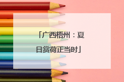 广西梧州：夏日赏荷正当时