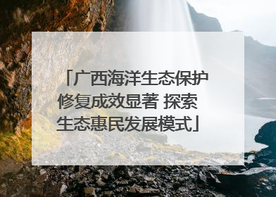 广西海洋生态保护修复成效显著 探索生态惠民发展模式