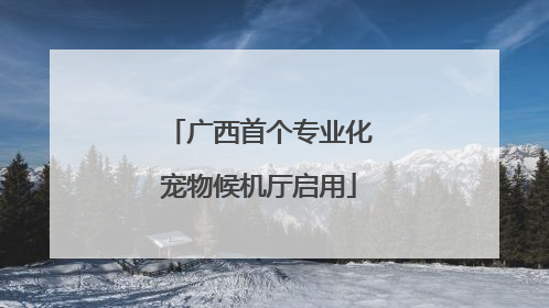 广西首个专业化宠物候机厅启用