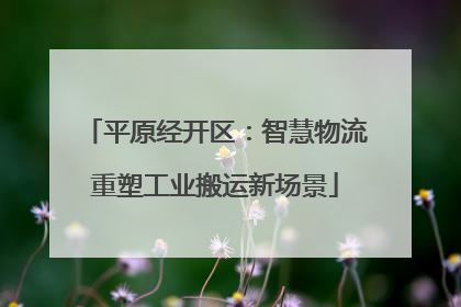 平原经开区：智慧物流重塑工业搬运新场景