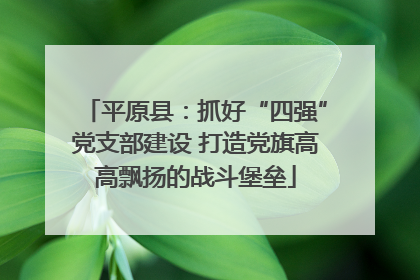 平原县：抓好“四强”党支部建设 打造党旗高高飘扬的战斗堡垒