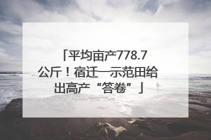 平均亩产778.7公斤！宿迁一示范田给出高产“答卷”