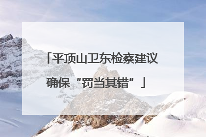 平顶山卫东检察建议确保“罚当其错”