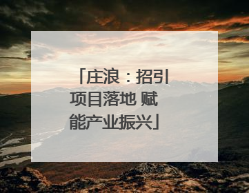 庄浪：招引项目落地 赋能产业振兴