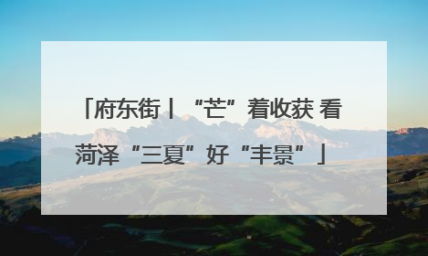 府东街丨“芒”着收获 看菏泽“三夏”好“丰景”