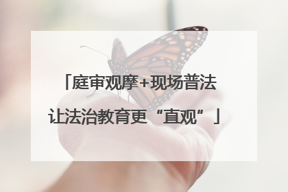 庭审观摩+现场普法 让法治教育更“直观”