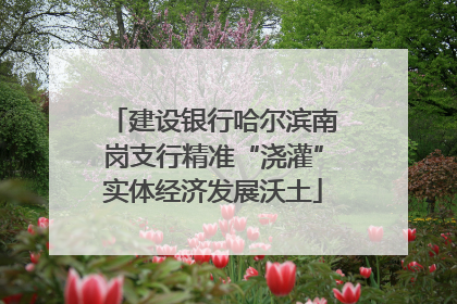 建设银行哈尔滨南岗支行精准“浇灌”实体经济发展沃土