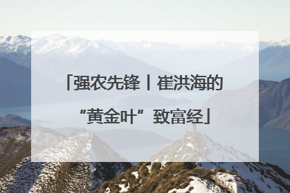 强农先锋丨崔洪海的“黄金叶”致富经