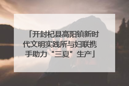 开封杞县高阳镇新时代文明实践所与妇联携手助力“三夏”生产