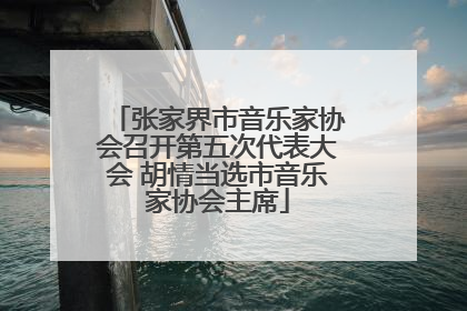 张家界市音乐家协会召开第五次代表大会 胡情当选市音乐家协会主席