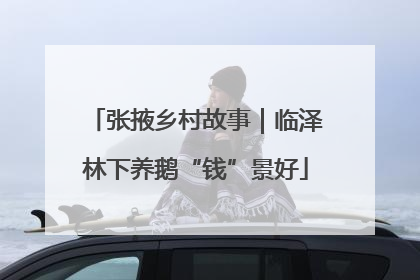 张掖乡村故事｜临泽林下养鹅“钱”景好