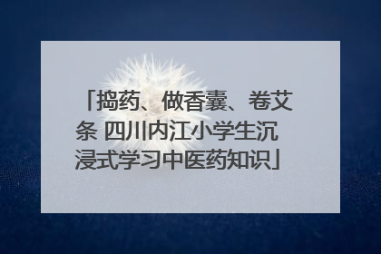 捣药、做香囊、卷艾条 四川内江小学生沉浸式学习中医药知识