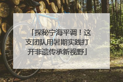 探秘宁海平调！这支团队用暑期实践打开非遗传承新视野