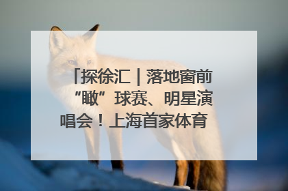 探徐汇｜落地窗前“瞰”球赛、明星演唱会！上海首家体育特色高端酒店亮相