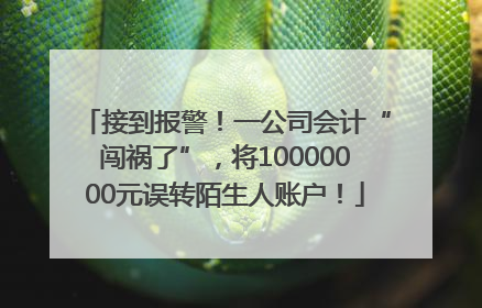 接到报警！一公司会计“闯祸了”，将10000000元误转陌生人账户！