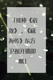 接棒《宿敌》，《藏海传》东方卫视开播即燃