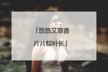 悠悠艾草香 片片粽叶长