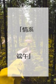 情系端午
