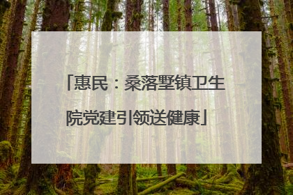 惠民：桑落墅镇卫生院党建引领送健康