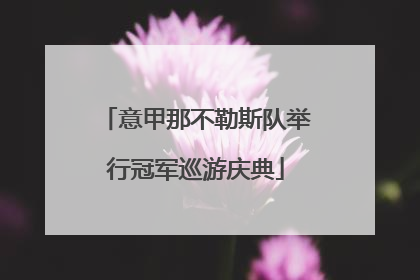 意甲那不勒斯队举行冠军巡游庆典