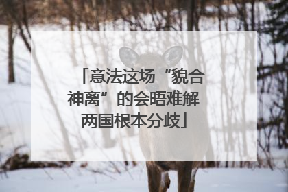 意法这场“貌合神离”的会晤难解两国根本分歧
