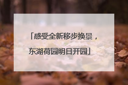 感受全新移步换景，东湖荷园明日开园