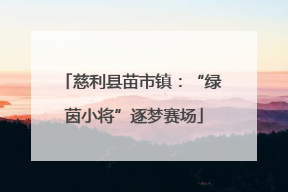慈利县苗市镇：“绿茵小将”逐梦赛场