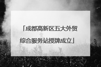 成都高新区五大外贸综合服务站授牌成立