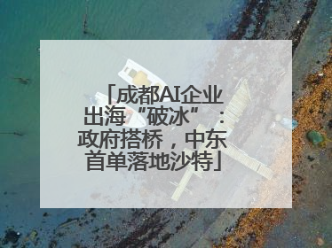 成都AI企业出海“破冰”：政府搭桥，中东首单落地沙特