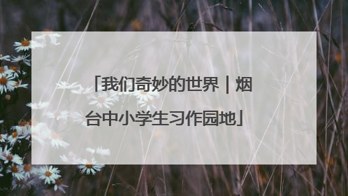 我们奇妙的世界｜烟台中小学生习作园地