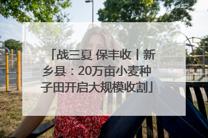战三夏 保丰收丨新乡县：20万亩小麦种子田开启大规模收割