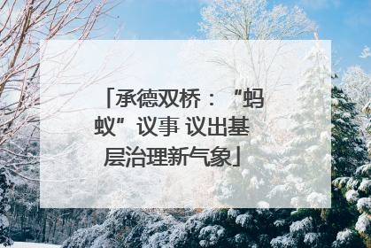 承德双桥：“蚂蚁”议事 议出基层治理新气象