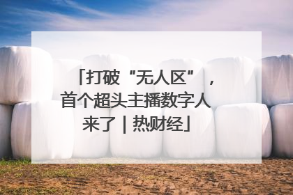 打破“无人区”，首个超头主播数字人来了｜热财经