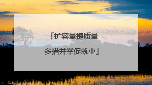 扩容量提质量 多措并举促就业