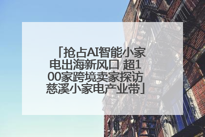 抢占AI智能小家电出海新风口 超100家跨境卖家探访慈溪小家电产业带