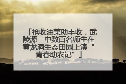 抢收油菜助丰收，武陵源一中数百名师生在黄龙洞生态田园上演“青春助农记”