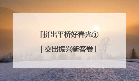 拼出平桥好春光③｜交出振兴新答卷