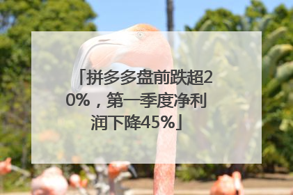 拼多多盘前跌超20%，第一季度净利润下降45%