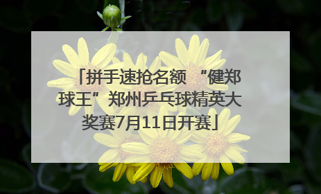 拼手速抢名额 “健郑球王”郑州乒乓球精英大奖赛7月11日开赛