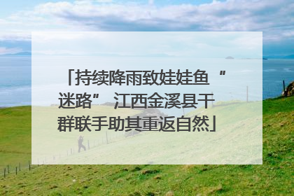 持续降雨致娃娃鱼“迷路” 江西金溪县干群联手助其重返自然
