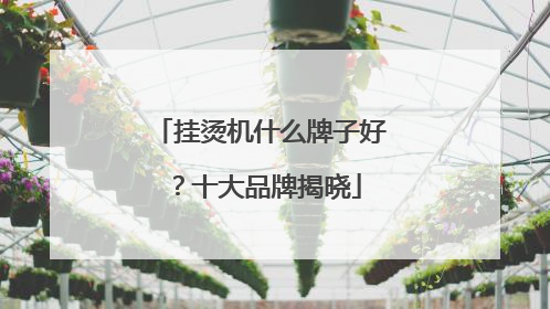 挂烫机什么牌子好？十大品牌揭晓
