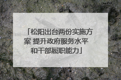 松阳出台两份实施方案 提升政府服务水平和干部履职能力