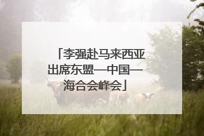 李强赴马来西亚出席东盟—中国—海合会峰会